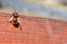 DSC_0999 (2).webp