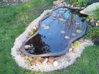 IMG-20171020-WA0000.webp