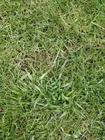 IMG_20180405_180438.webp