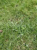 IMG_20180405_180435.webp