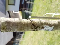 20180404_163756 - Kopie.webp