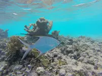 IMG-20171129-WA0024.webp