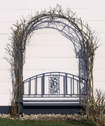 Laguna_Rück_Formschnitt_700.webp