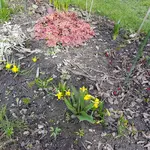 180403     kriechen wieder rein.webp