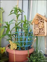c032.webp