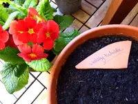 P1030447.JPG
