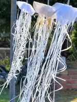 image001.webp