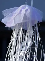 image004.webp