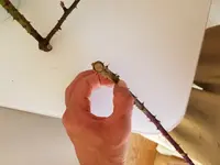 2018-04-08 10.05.36.webp