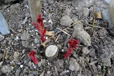 2018_04012017England0001.JPG