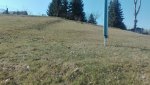 IMG_20180408_115146.jpg