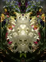 c042.webp