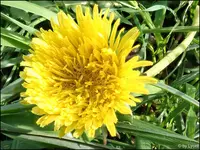 c047.webp