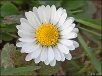 c048.webp