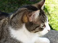 image001.webp