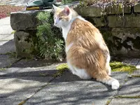 image002.webp