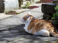 image004.webp