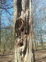 20180407_133746.webp