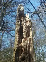 20180407_133757.webp