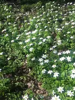 20180407_133033.webp