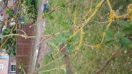 2018-04-09 09.59.41.webp