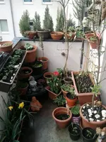 Balkon 9.4.webp
