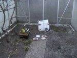BILD9090.JPG