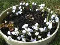 BILD9059.JPG