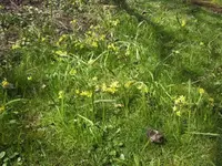 BILD9085.JPG