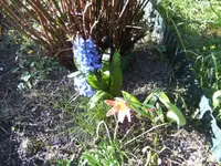 BILD9097.webp