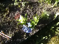 BILD9099.webp