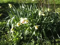 BILD9096.webp