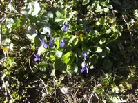 BILD9094.webp