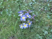 BILD9093.JPG