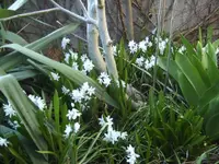 BILD9104.JPG