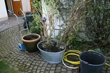 Umtopfen0218.webp