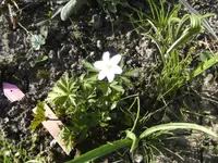 BILD9100.webp