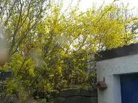 P1120876.webp