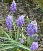 P1120880.webp