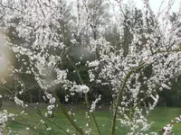 P1120894.webp