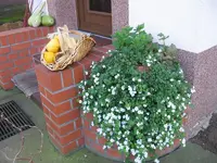 Herbst.webp