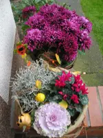 Herbstlicher Kübel.webp