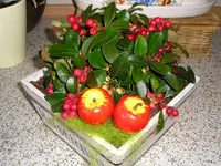 Nochmal Herbst.webp