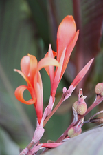 IMG_1608.webp