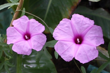 IMG_1624.webp