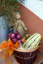CIMG5911.webp