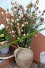 CIMG5912.webp