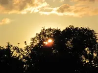 IMG_0582.webp