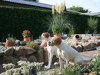 Sphinx am Teich_klein.webp