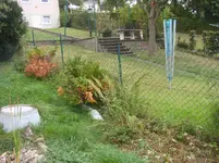 ZaunrechtsDSC01865.webp